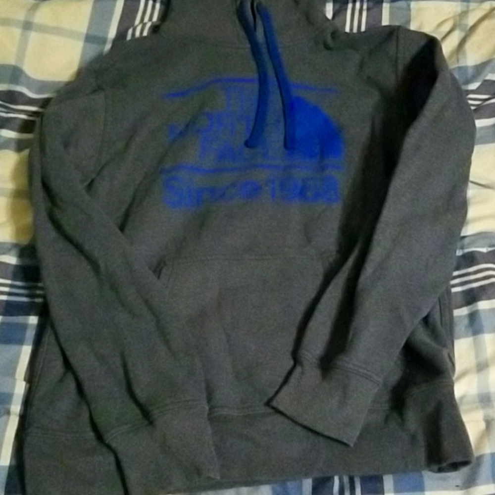 The north face mens hoodie